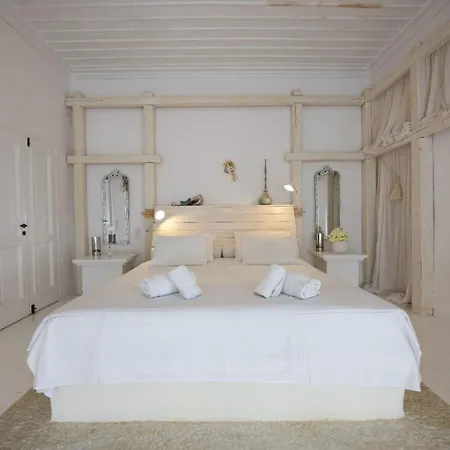 Theatron Mykonos Villa *